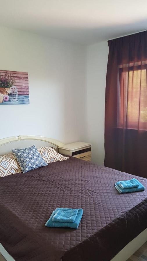 Apartament Mandree 科斯蒂内什蒂 外观 照片