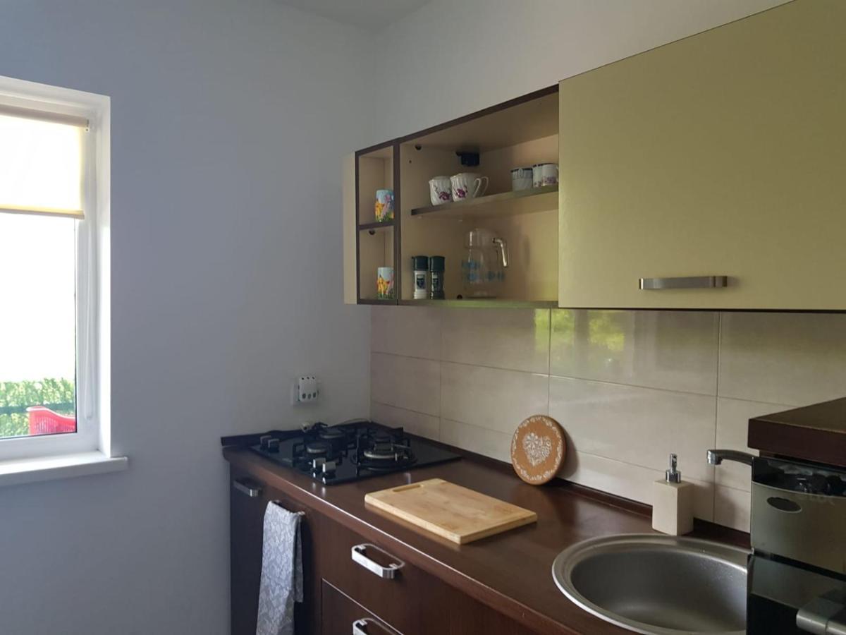 Apartament Mandree 科斯蒂内什蒂 外观 照片