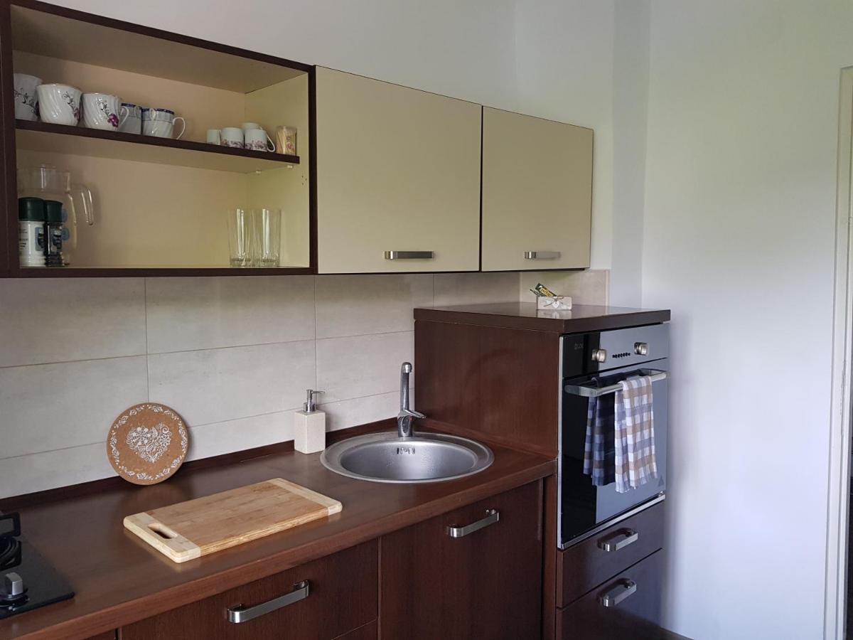 Apartament Mandree 科斯蒂内什蒂 外观 照片