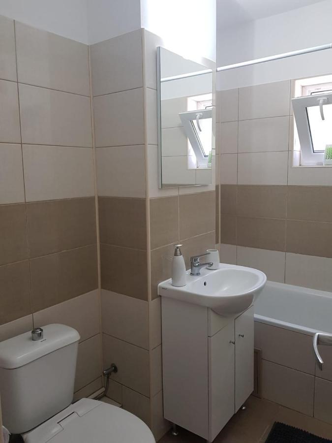 Apartament Mandree 科斯蒂内什蒂 外观 照片