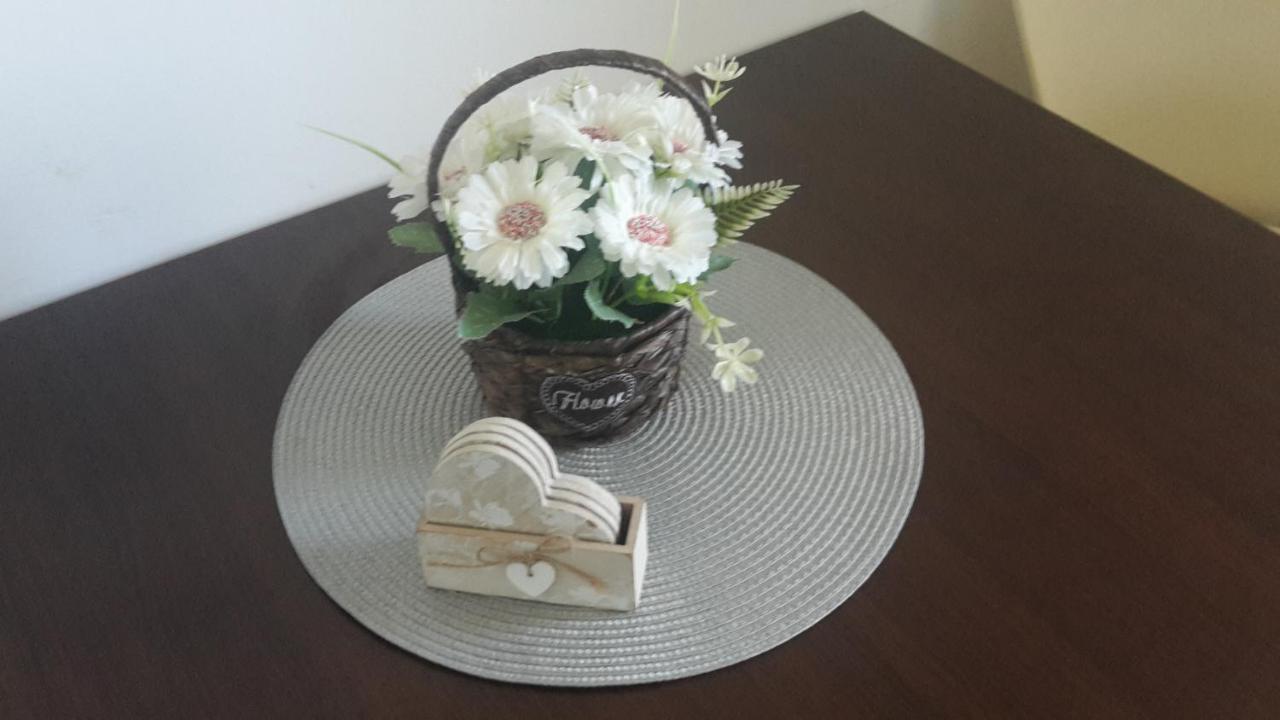Apartament Mandree 科斯蒂内什蒂 外观 照片