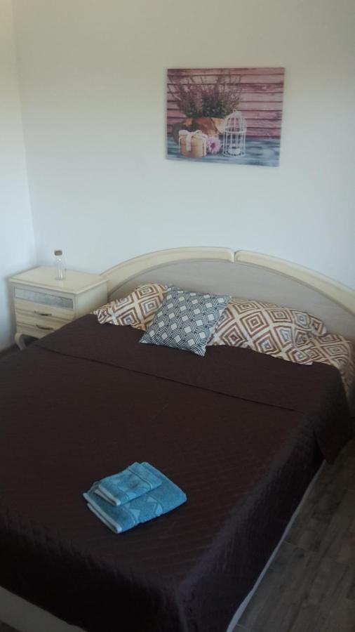 Apartament Mandree 科斯蒂内什蒂 外观 照片